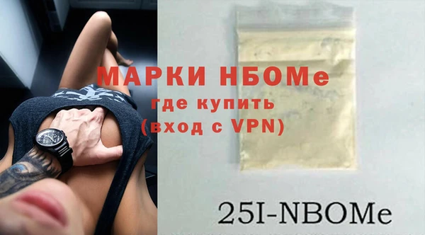 хмурый Пестово