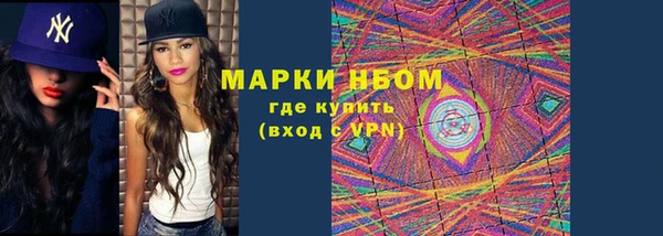 хмурый Пестово